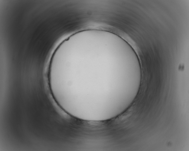 X0000103331152200809261155