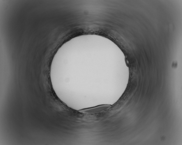 X0000103331153200809261154