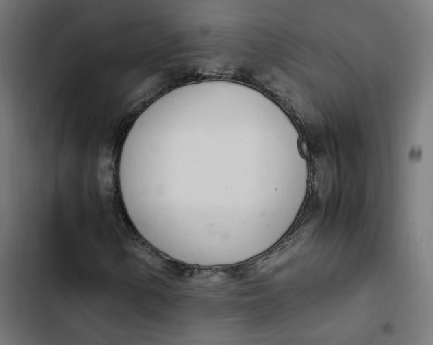 X0000103331154200809261154