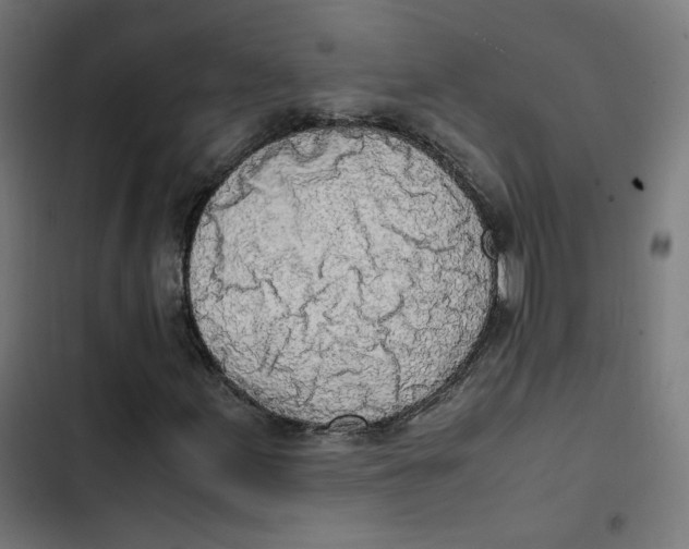 X0000103331155200809261154