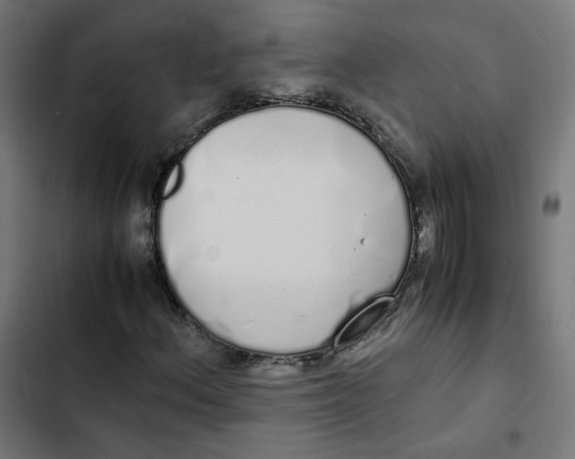 X0000103331156200809261154