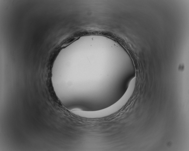 X0000103331157200809261154