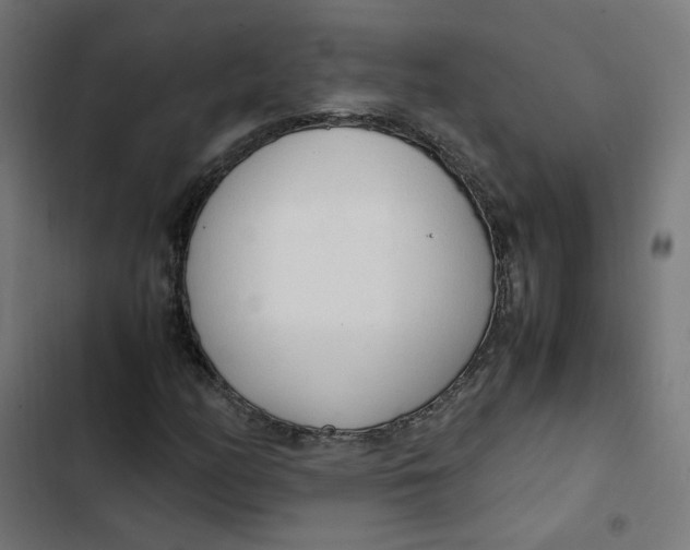 X0000103331158200809261154