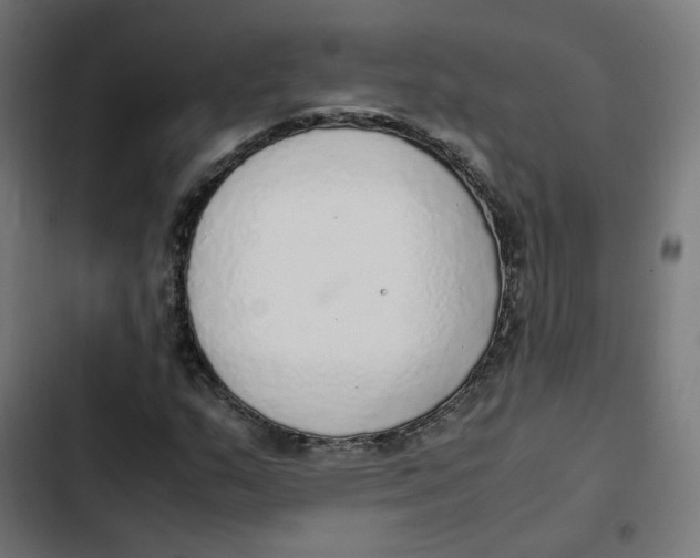 X0000103331159200809261154