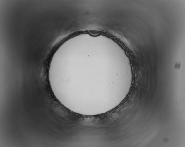 X0000103331160200809261154