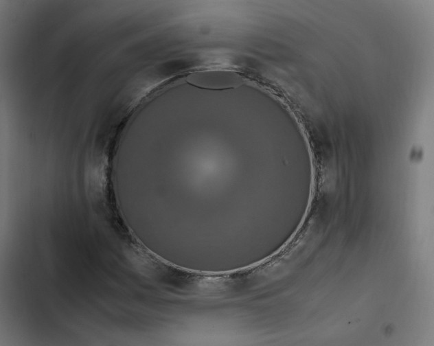 X0000103331161200809261154