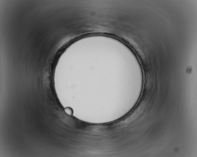 X0000103331163200809261154