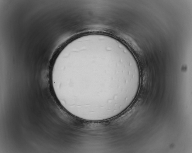 X0000103331164200809261154