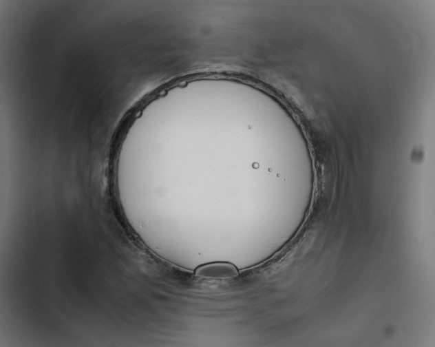 X0000103331165200809261154