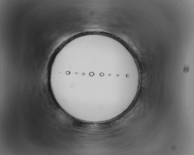 X0000103331167200809261154