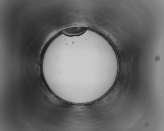 X0000103331168200809261154