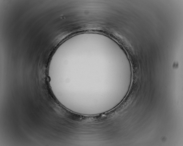 X0000103331169200809261154