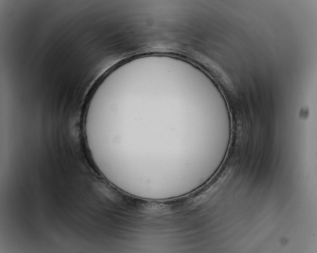 X0000103331170200809261154