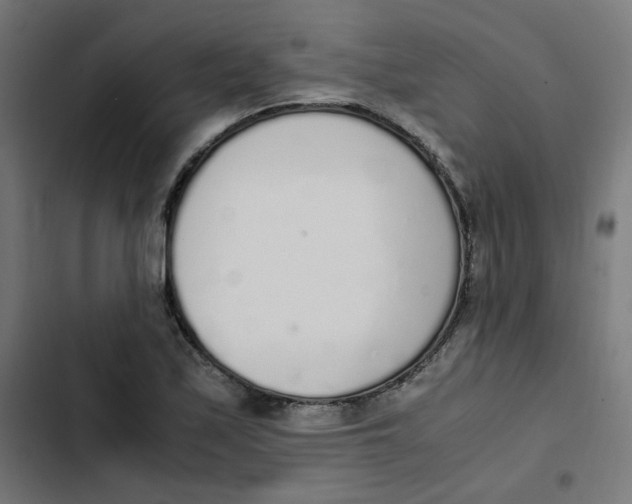 X0000103331171200809261154