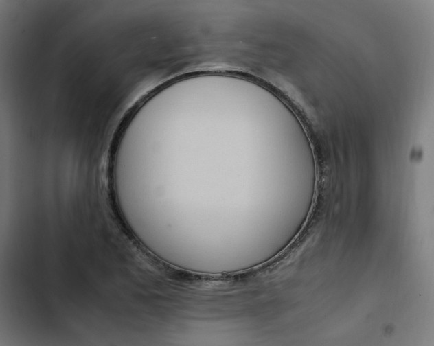 X0000103331173200809261154