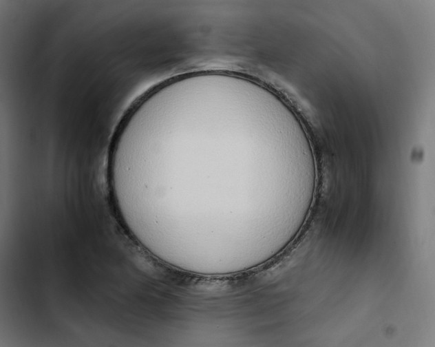 X0000103331174200809261154