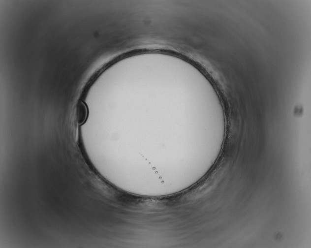 X0000103331175200809261154