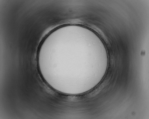 X0000103331176200809261154