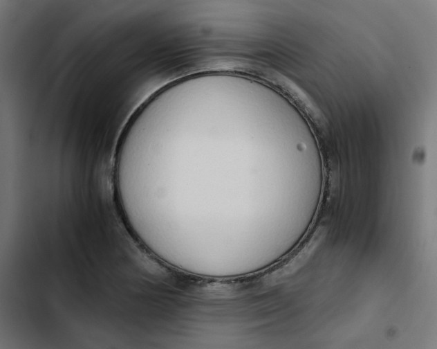 X0000103331178200809261154