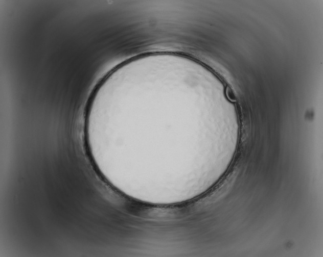 X0000103331179200809261154