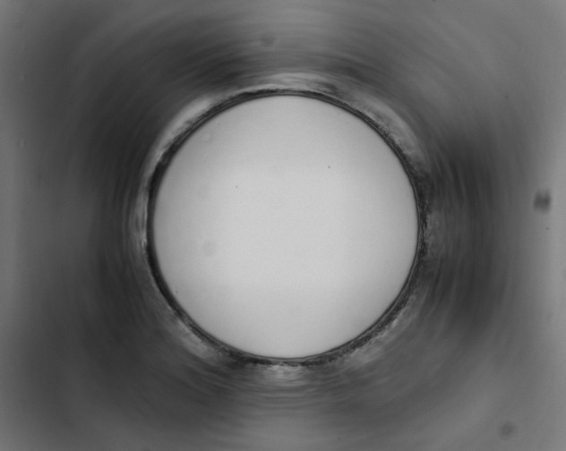 X0000103331180200809261154