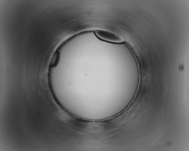 X0000103331181200809261154