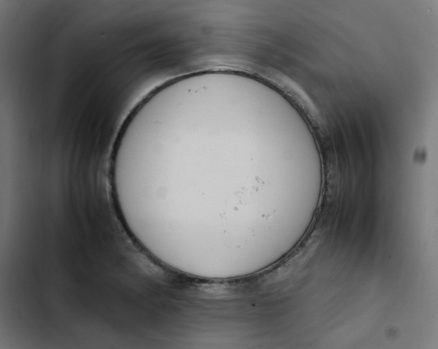 X0000103331182200809261154