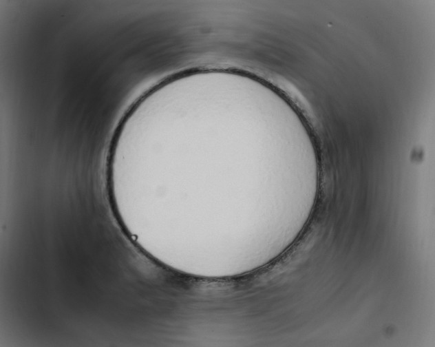 X0000103331183200809261154