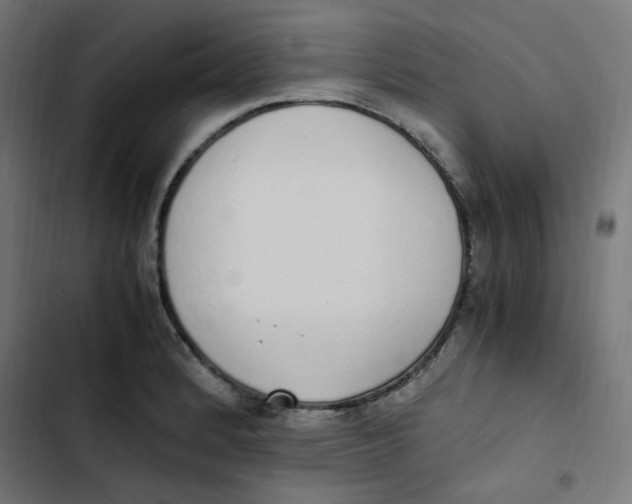 X0000103331184200809261154