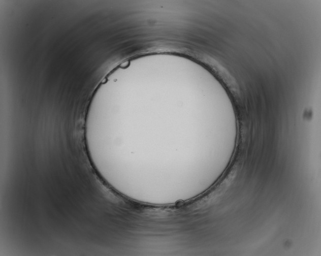 X0000103331185200809261154