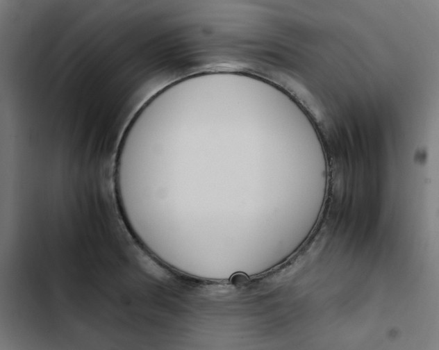 X0000103331186200809261154