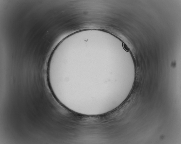 X0000103331187200809261154