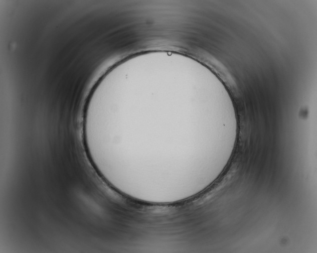 X0000103331188200809261154