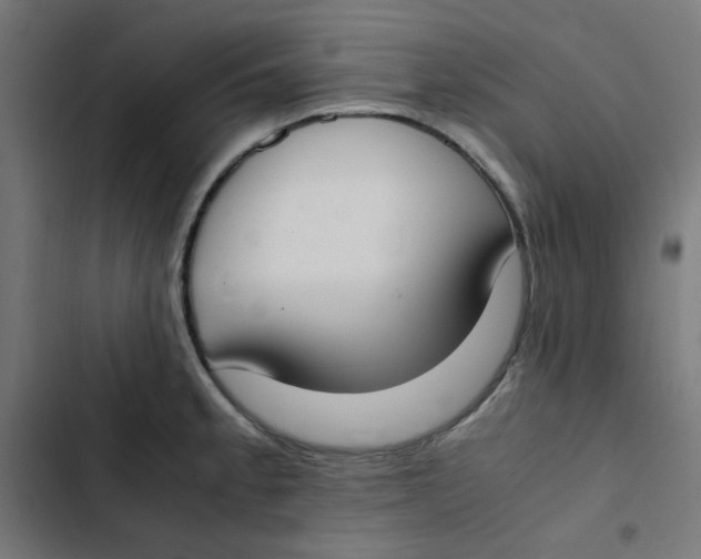 X0000103331189200809261154