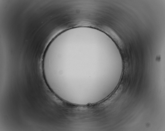 X0000103331190200809261154