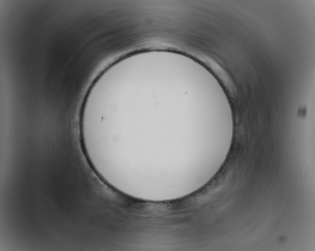 X0000103331191200809261154