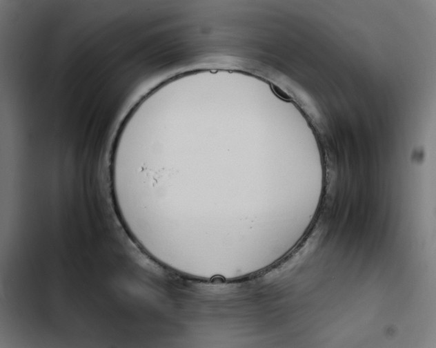 X0000103331192200809261154