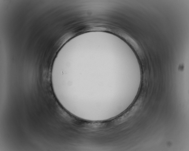 X0000103331193200809261153