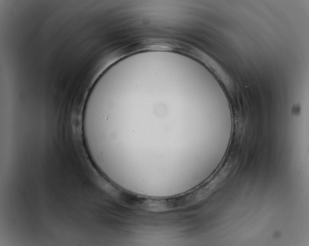 X0000103331194200809261153