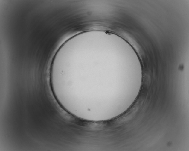 X0000103331195200809261153