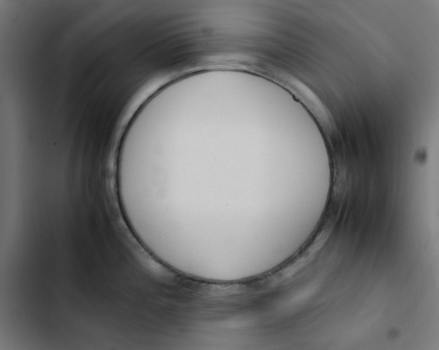 X0000103331196200809261153