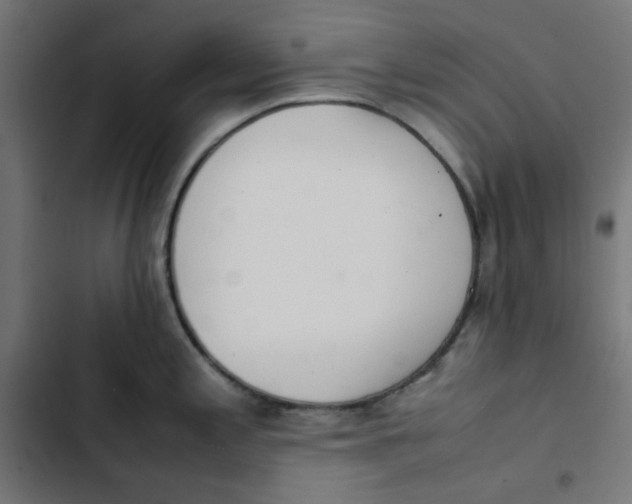 X0000103331197200809261153