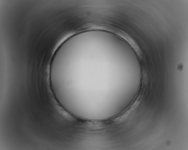 X0000103331198200809261153