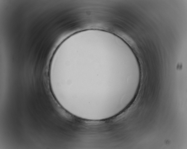 X0000103331200200809261153