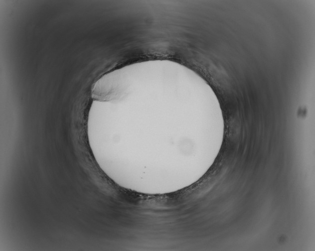 X0000103331201200809261153