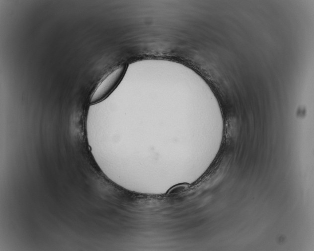 X0000103331202200809261153