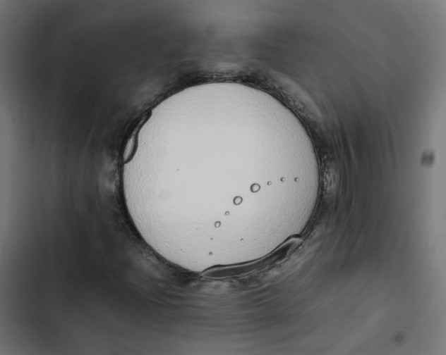 X0000103331204200809261153