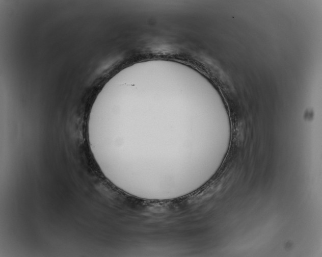 X0000103331205200809261153