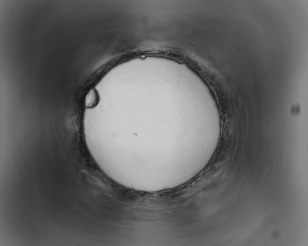 X0000103331206200809261153