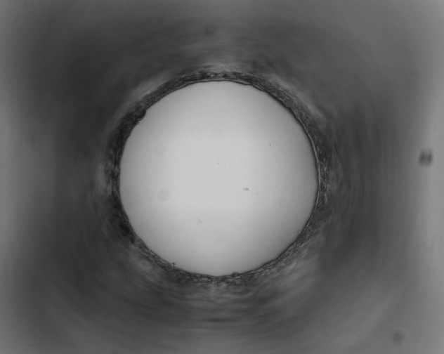 X0000103331207200809261153